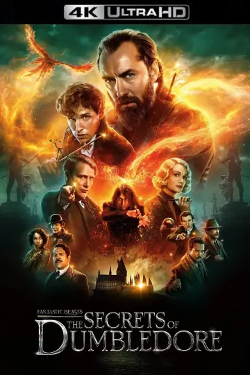 Poster to the movie "Fantastic Beasts: The Secrets of Dumbledore" #7239