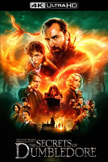 Poster to the movie "Fantastic Beasts: The Secrets of Dumbledore" #772623