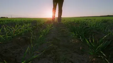 Backdrop to the movie "Song to Song" #1064325