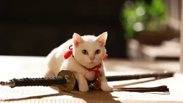 Samurai Cat 2: A Tropical Adventure Poster