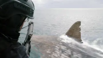 Backdrop to the movie "The Meg" #1643213