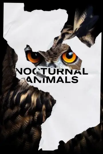 Poster to the movie "Nocturnal Animals" #506707