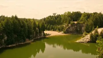 Backdrop to the movie "It" #836151