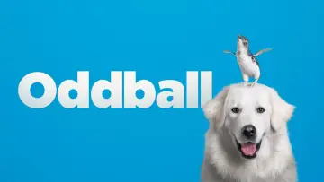 Backdrop to the movie "Oddball" #732738
