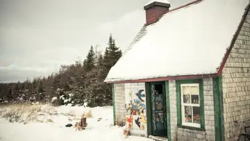 Watch film Maudie — Maudie | Official Trailer HD (2017)