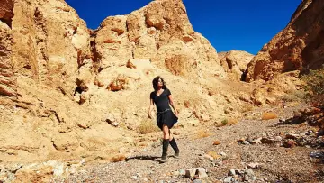 Backdrop to the movie "Death Valley" #1910432