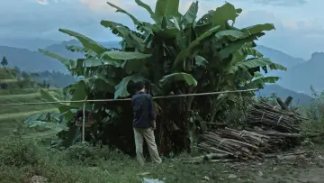 Backdrop to the movie "Kaili Blues" #478334
