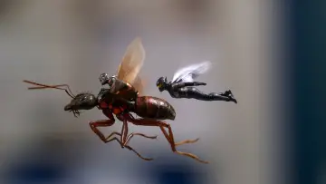 Backdrop to the movie "Ant-Man and the Wasp" #1643271