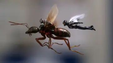 Backdrop to the movie "Ant-Man and the Wasp" #1723748