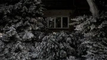 Backdrop to the movie "Berlin Syndrome" #1002611