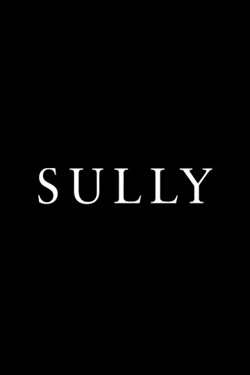 Poster to the movie "Sully" #1730720