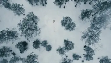 Backdrop to the movie "No Time to Die" #766899