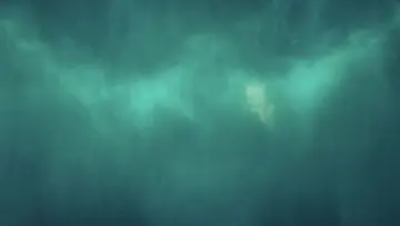Backdrop to the movie "Godzilla: King of the Monsters" #618163
