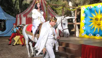 Backdrop to the movie "The Love Witch" #285115
