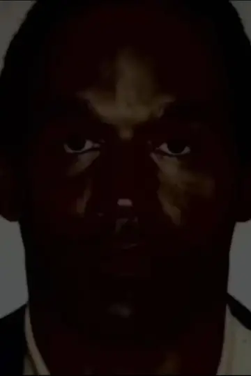 Poster to the movie "O.J.: Made in America" #1055120
