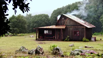 Backdrop to the movie "The Untamed" #1797560