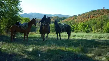 Backdrop to the movie "Mythica: The Iron Crown" #1574328