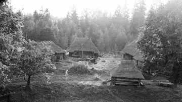 Backdrop to the movie "Werewolf" #1823404