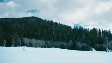 Backdrop to the movie "Wind River" #701746