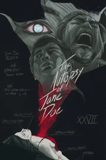 Poster to the movie "The Autopsy of Jane Doe" #961703