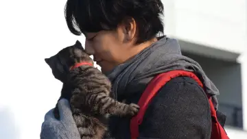 Backdrop to the movie "If Cats Disappeared from the World" #1621374