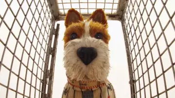 Backdrop to the movie "Isle of Dogs" #606301