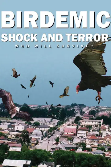Poster to the movie "Birdemic: Shock and Terror" #1067107