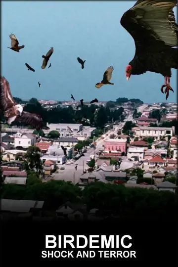 Poster to the movie "Birdemic: Shock and Terror" #1067108
