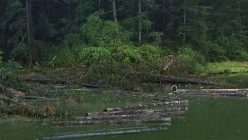 Backdrop to the movie "Sometimes a Great Notion" #1079532
