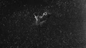Backdrop to the movie "La Notte" #751990