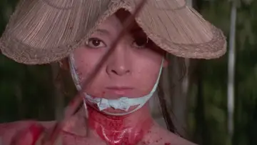Backdrop to the movie "Lone Wolf and Cub: Baby Cart in Peril" #1043873