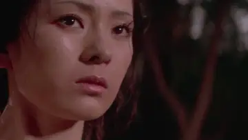Backdrop to the movie "Lone Wolf and Cub: Baby Cart in Peril" #1043883