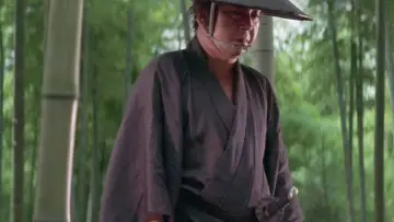 Backdrop to the movie "Lone Wolf and Cub: Baby Cart to Hades" #948498