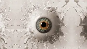 Backdrop to the movie "Saw 3D" #371915
