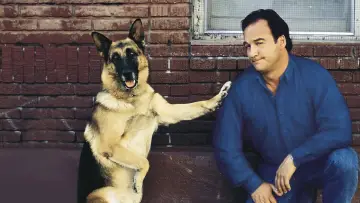 Backdrop to the movie "K-911" #948895