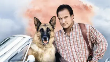 Backdrop to the movie "K-911" #948898