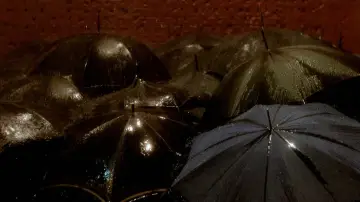 Backdrop to the movie "Distant Voices, Still Lives" #1062404