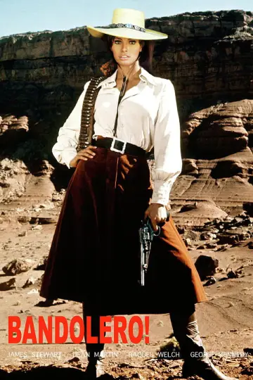 Poster to the movie "Bandolero!" #1098911