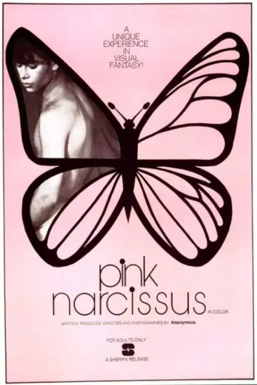 Poster to the movie "Pink Narcissus" #1112139