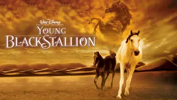 Backdrop to the movie "Young Black Stallion" #1058554