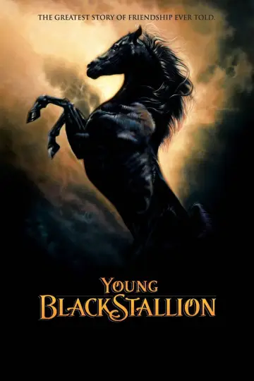 Poster to the movie "Young Black Stallion" #1058559
