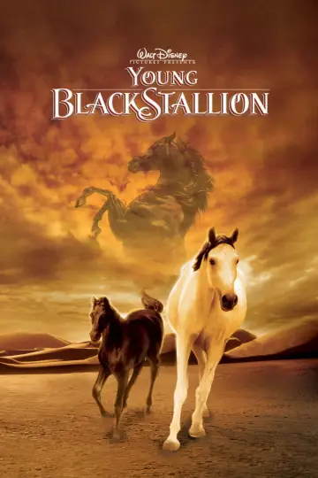 Poster to the movie "Young Black Stallion" #1058561