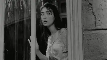 Backdrop to the movie "The Housemaid" #1048374