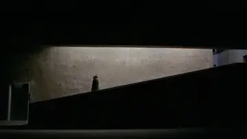 Backdrop to the movie "The Fifth Cord" #1857943