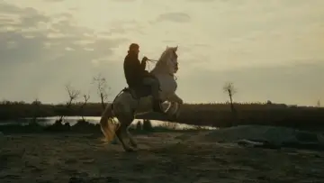 Backdrop to the movie "A Man and a Woman" #1648202