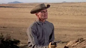 Backdrop to the movie "Gunman