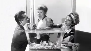 Backdrop to the movie "The Courtship of Eddie