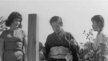 Backdrop to the movie "The Insect Woman" #1862853