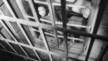 Backdrop to the movie "The Insect Woman" #1862859