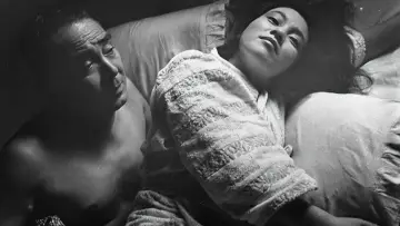 Backdrop to the movie "The Insect Woman" #1862867